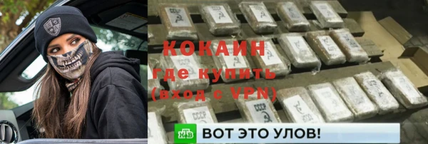 прущие грибы Верея