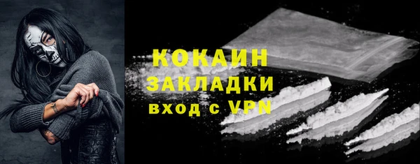 прущие грибы Верея