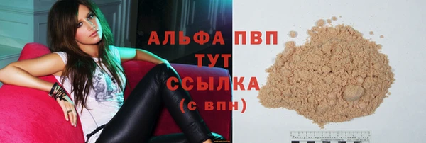 прущие грибы Верея