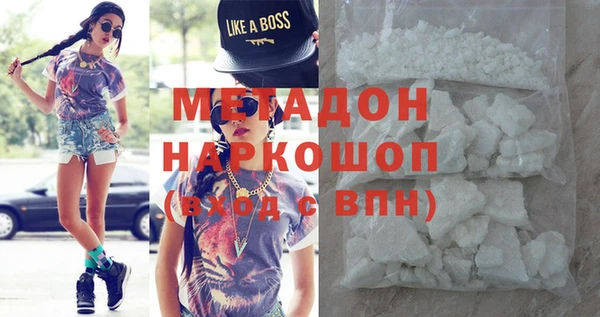 прущие грибы Верея