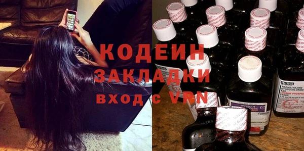 прущие грибы Верея