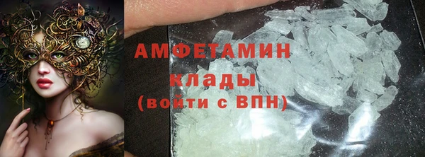 прущие грибы Верея