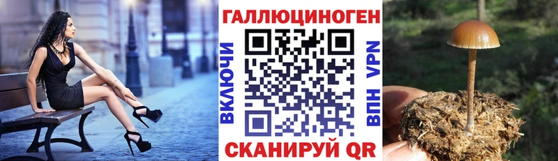 Галлюциногенные грибы Magic Shrooms  даркнет сайт  Луга 